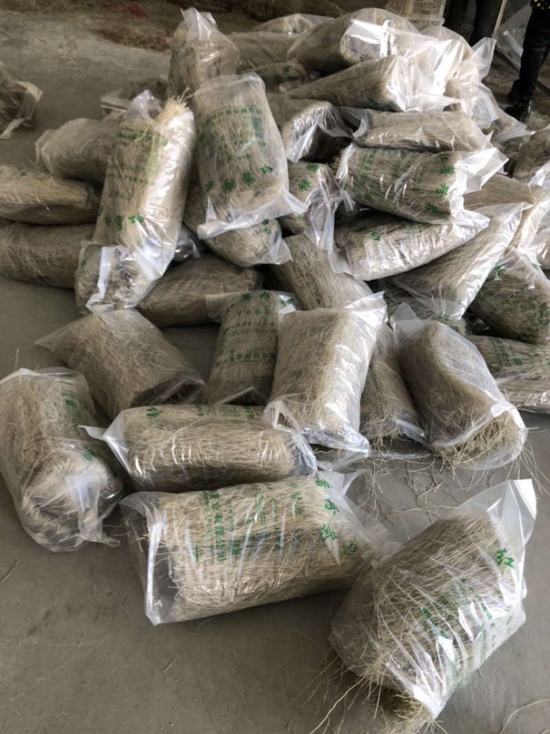 纯粮食红薯粉条大量出售