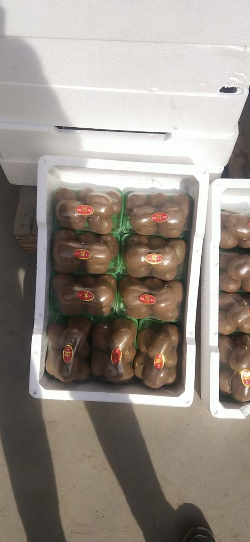 野生猕猴桃精品大果