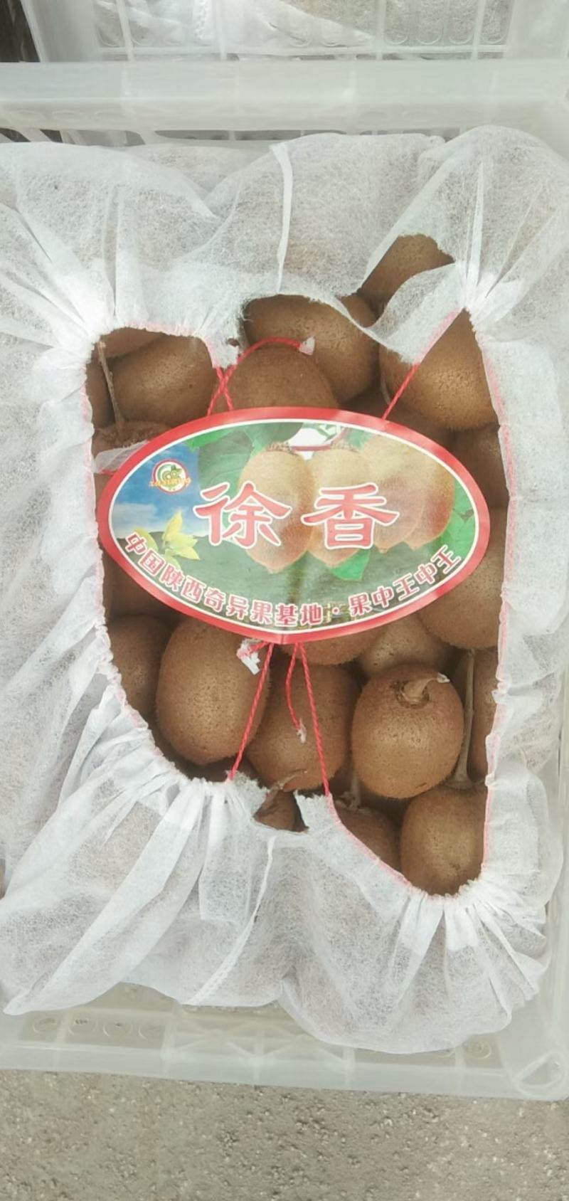 野生猕猴桃精品大果