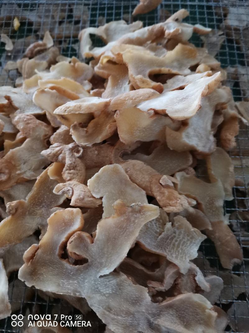 黄精片，精选黄精片，贵州精品中药材，黔药出山