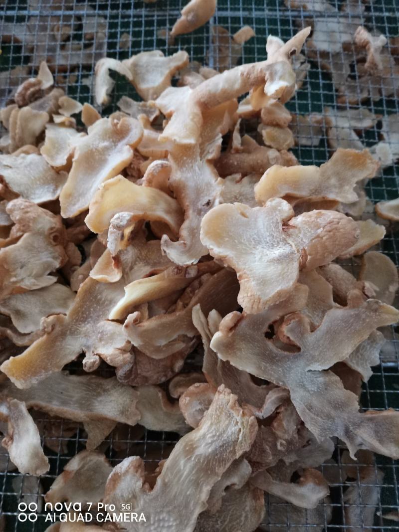 黄精片，精选黄精片，贵州精品中药材，黔药出山