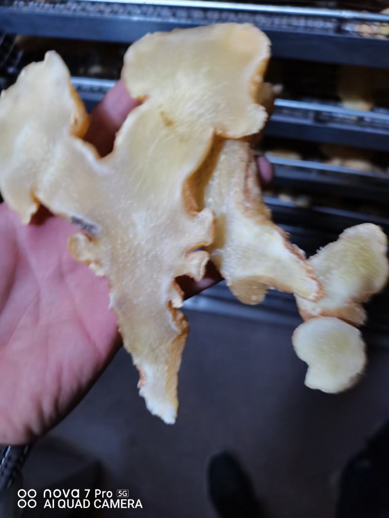 黄精片，精选黄精片，贵州精品中药材，黔药出山