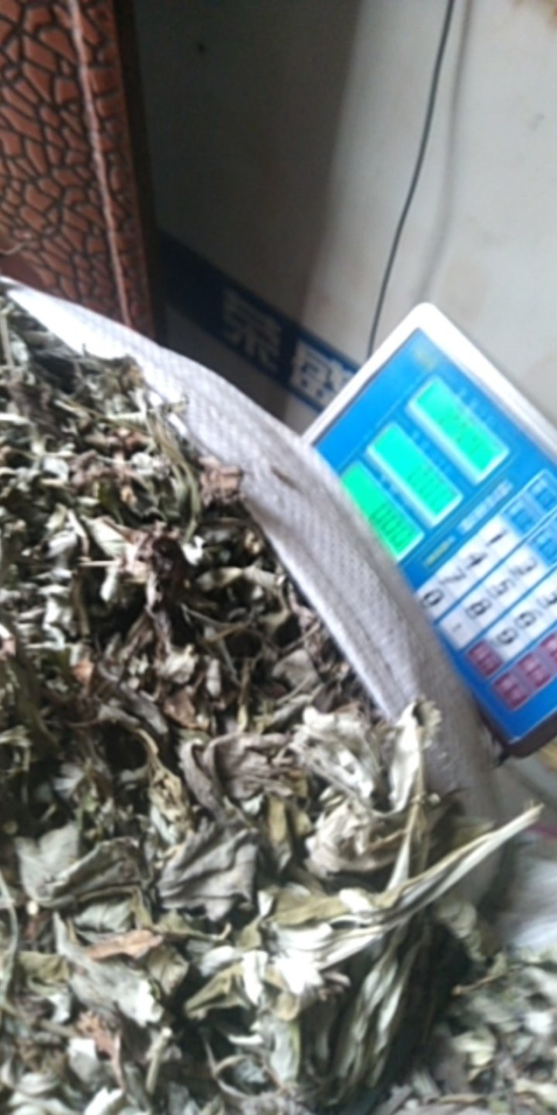 3年野生陈艾叶端午节，泡水冼高含量。有手选，保证质量长期