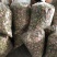 冻干无花果！年前大量出货有需要的老板！提前下订单。。