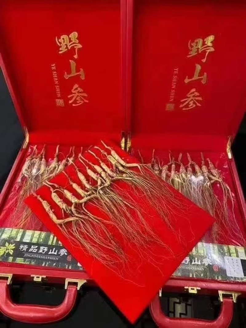 【长白山】林下参礼盒
