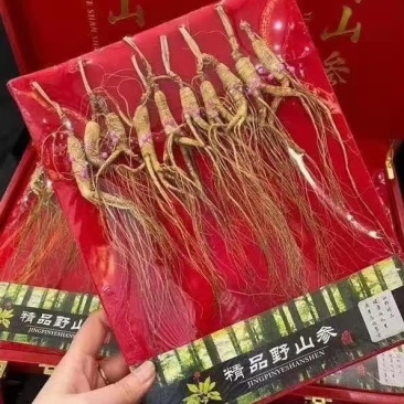 【长白山】林下参礼盒