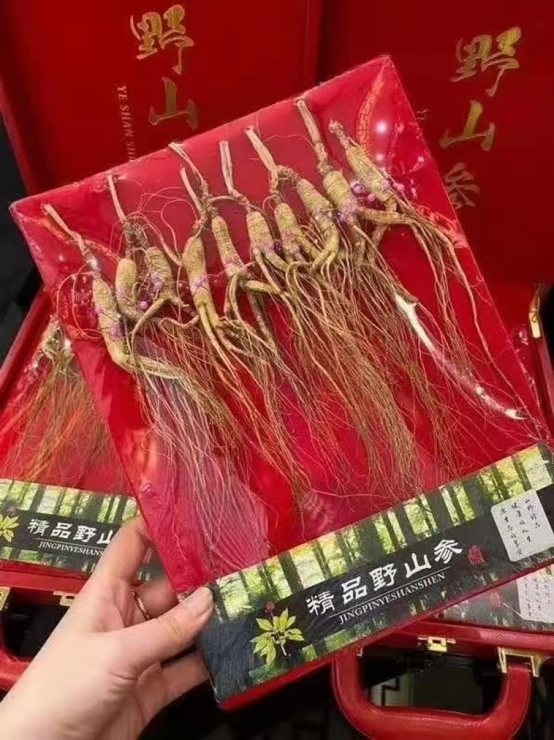 【长白山】林下参礼盒