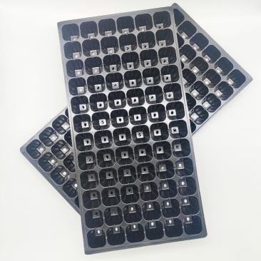育苗穴盘21325072128200穴秧苗盘