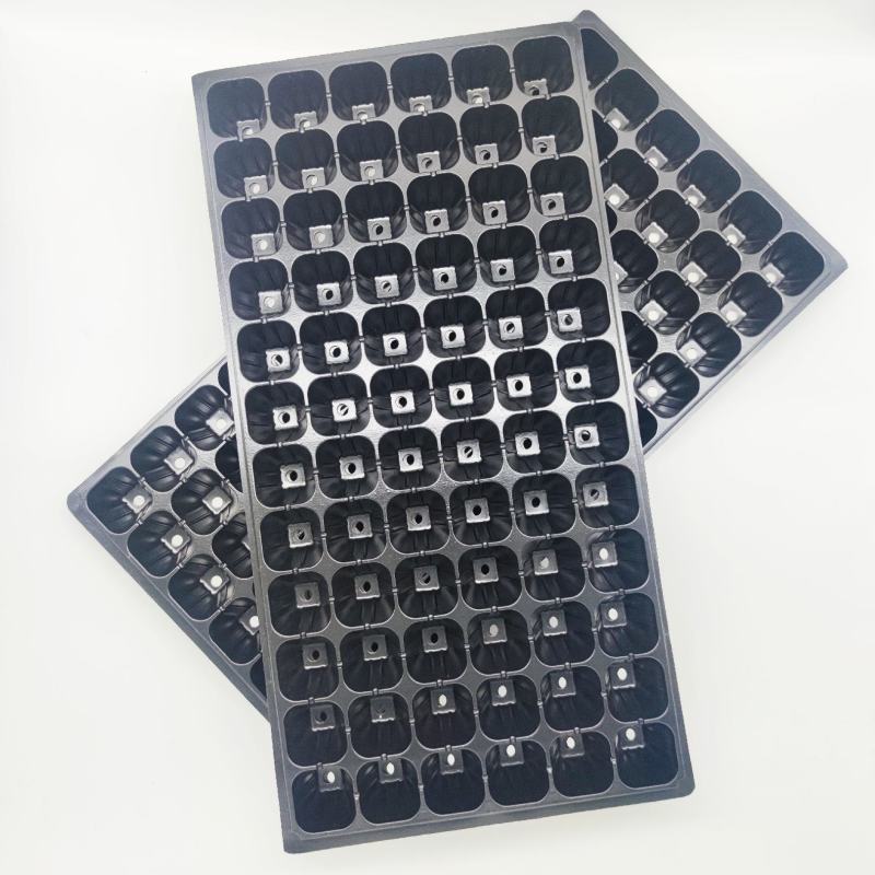 育苗穴盘21325072128200穴秧苗盘