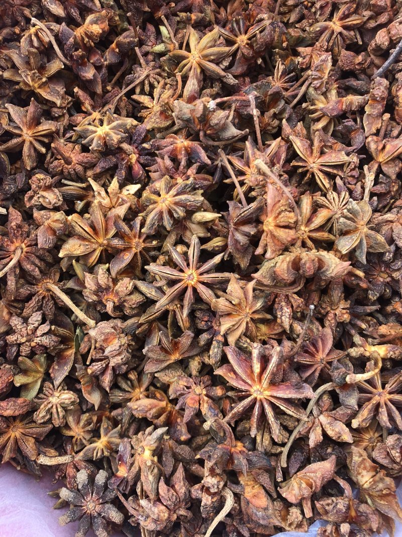 大红八角干枝果足干八角大料大茴香无硫古龙产地