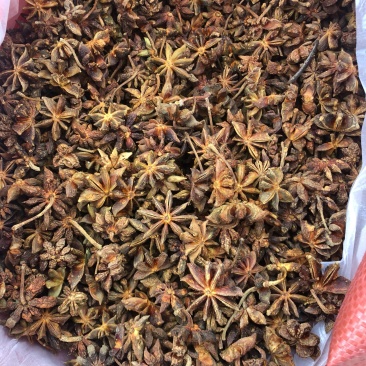 大红八角干枝果足干八角大料大茴香无硫古龙产地