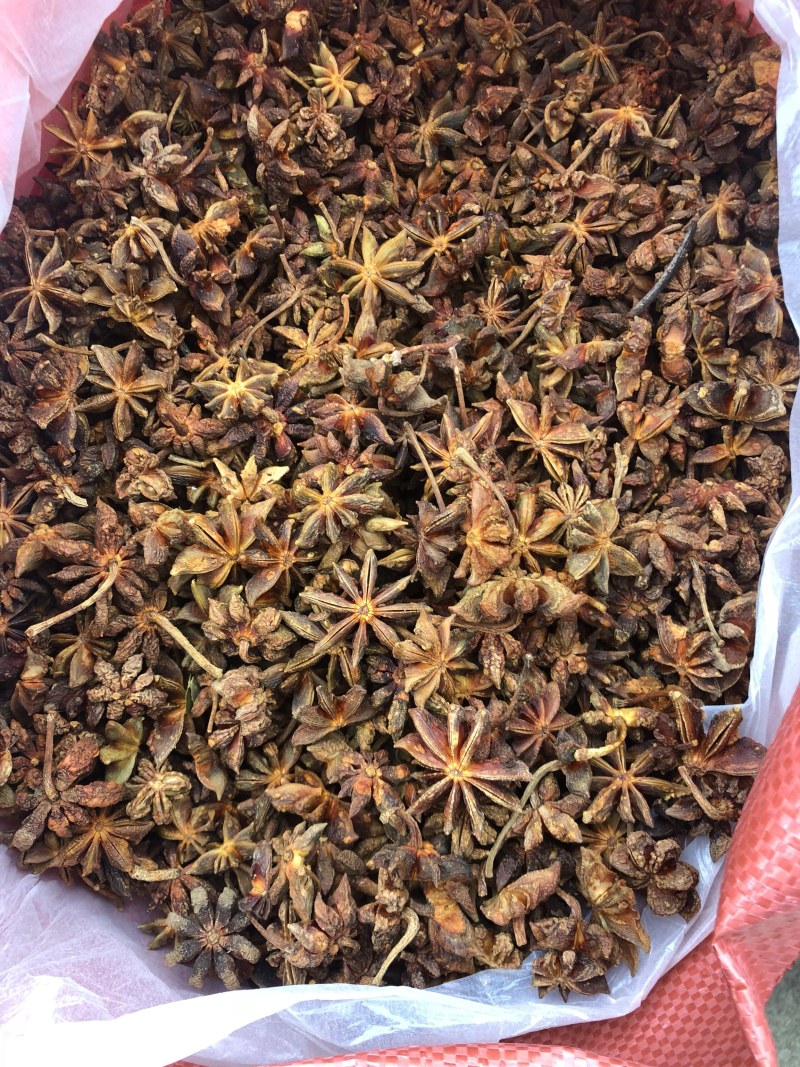 大红八角干枝果足干八角大料大茴香无硫古龙产地