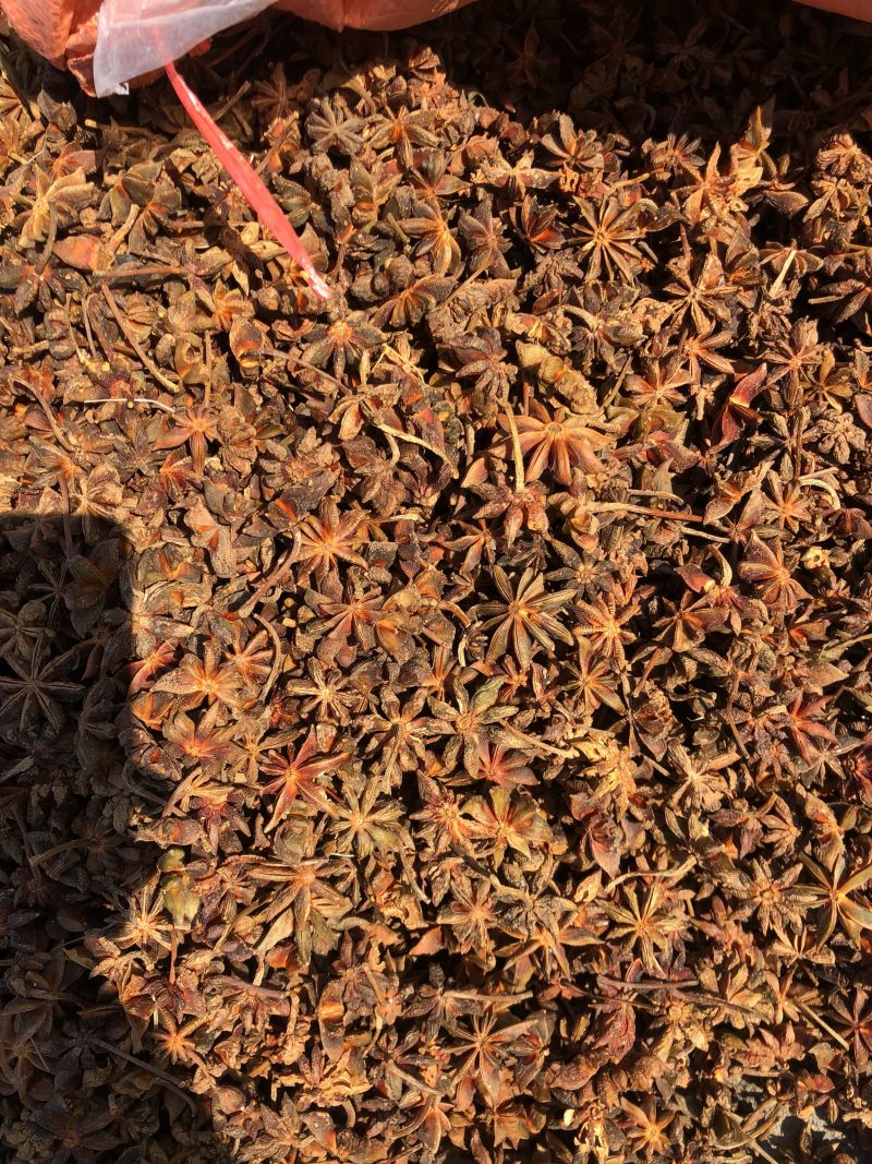 大红八角干枝果足干八角大料大茴香无硫古龙产地