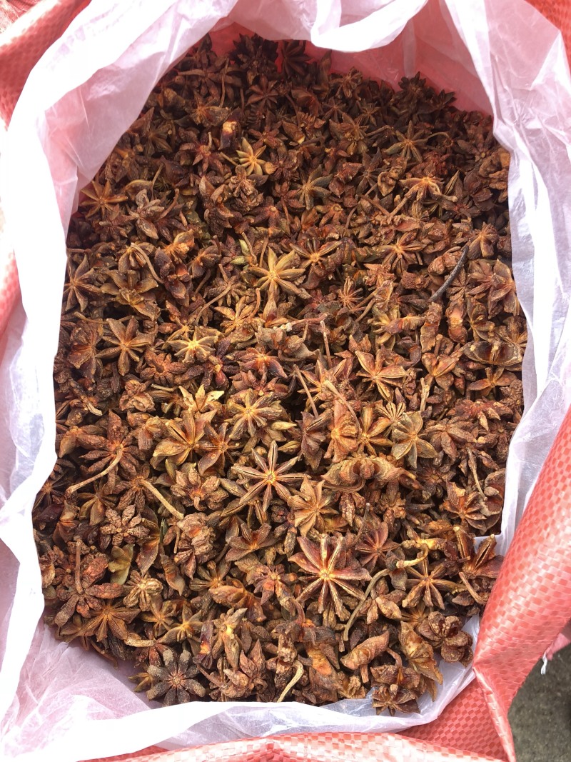 大红八角干枝果足干八角大料大茴香无硫古龙产地