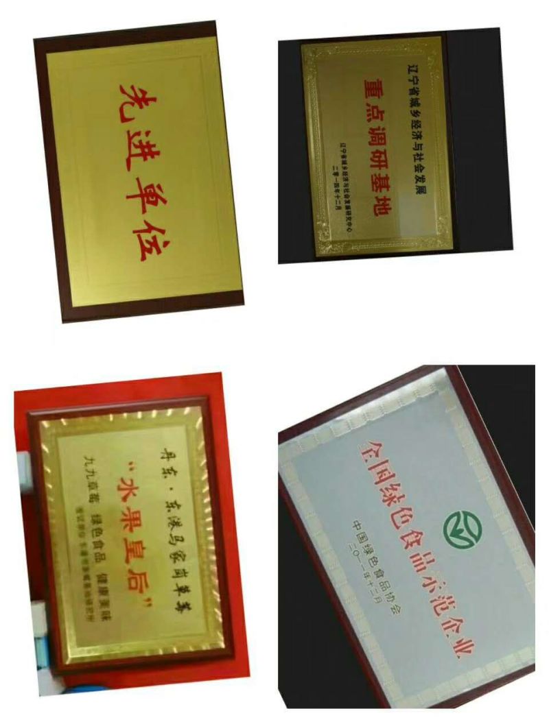 正宗的丹东久久草莓【锦洋蔬果合作社】只做精品草莓