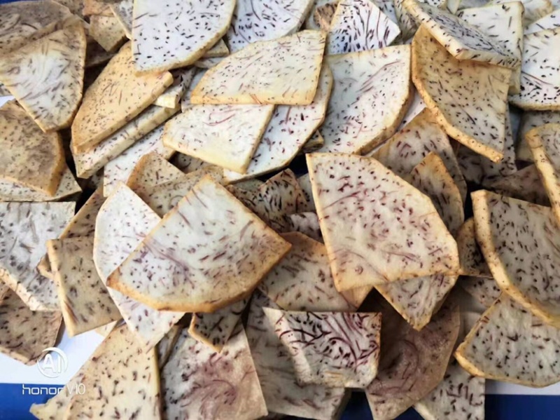 批发香芋头种苗槟榔芋头基地直供，香粉糯产量高送技术指导