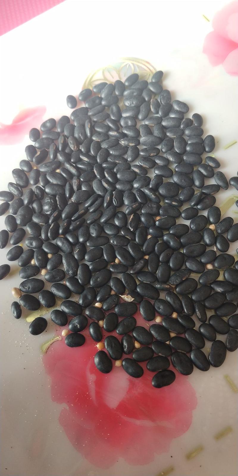 腰子黑豆，黄仁，高蛋白，每一粒都来自精调细筛净粮
