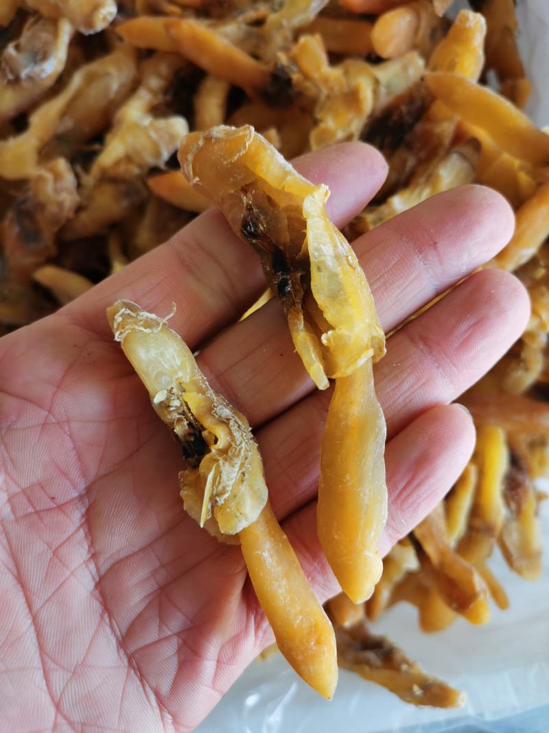 包邮新鲜新晒蛏子干竹节海蛏子肉干海鲜干货蛏子干