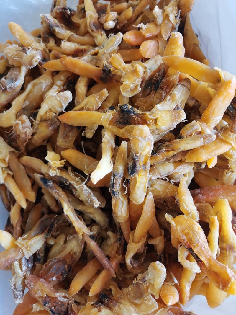 包邮新鲜新晒蛏子干竹节海蛏子肉干海鲜干货蛏子干