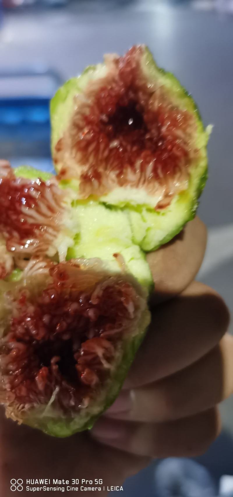 大量无花果每天一万斤左右