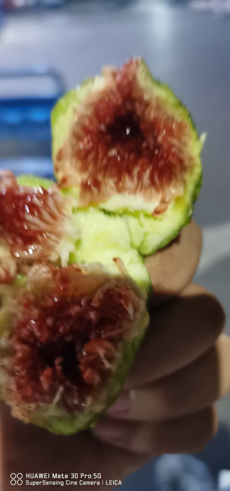 大量无花果每天一万斤左右