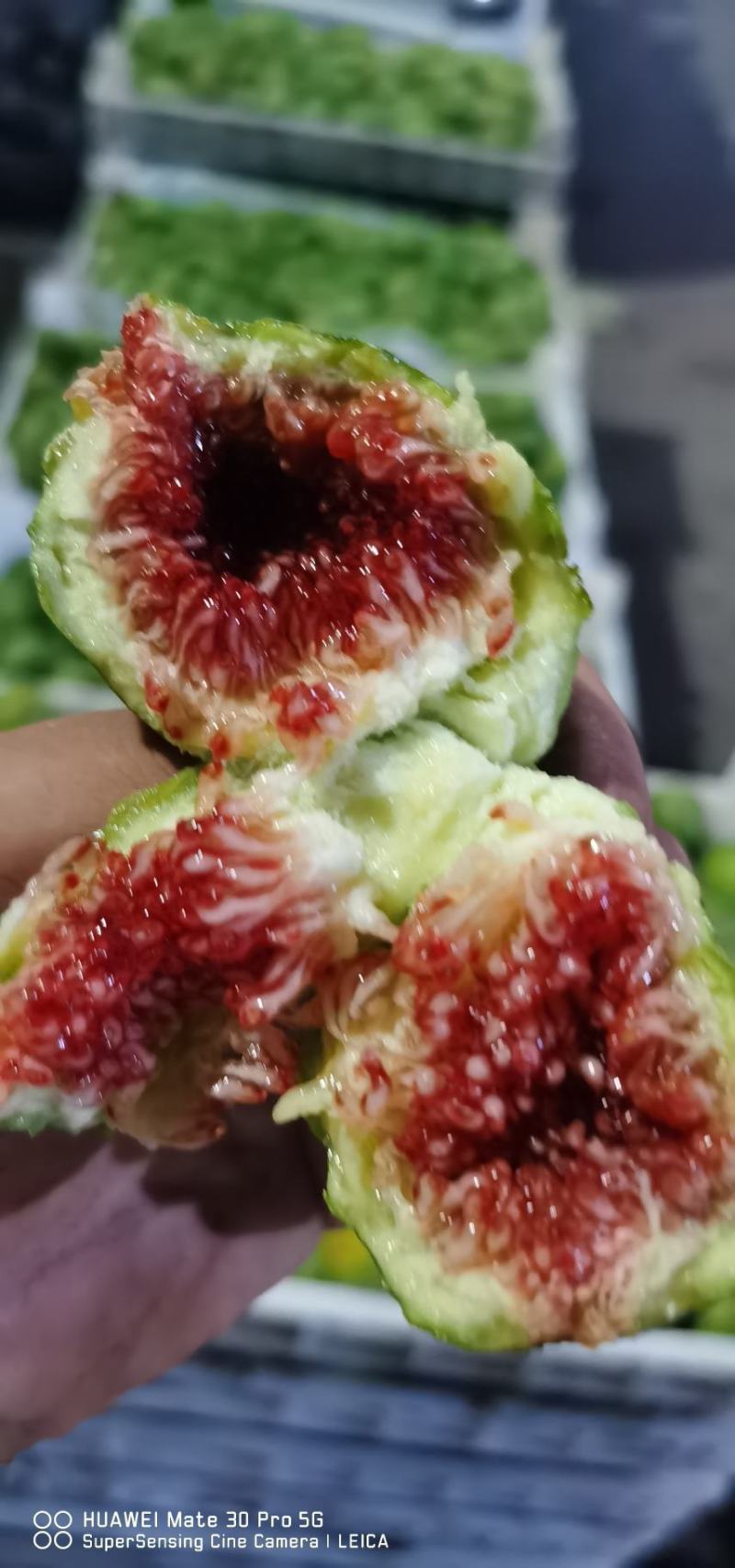 大量无花果每天一万斤左右