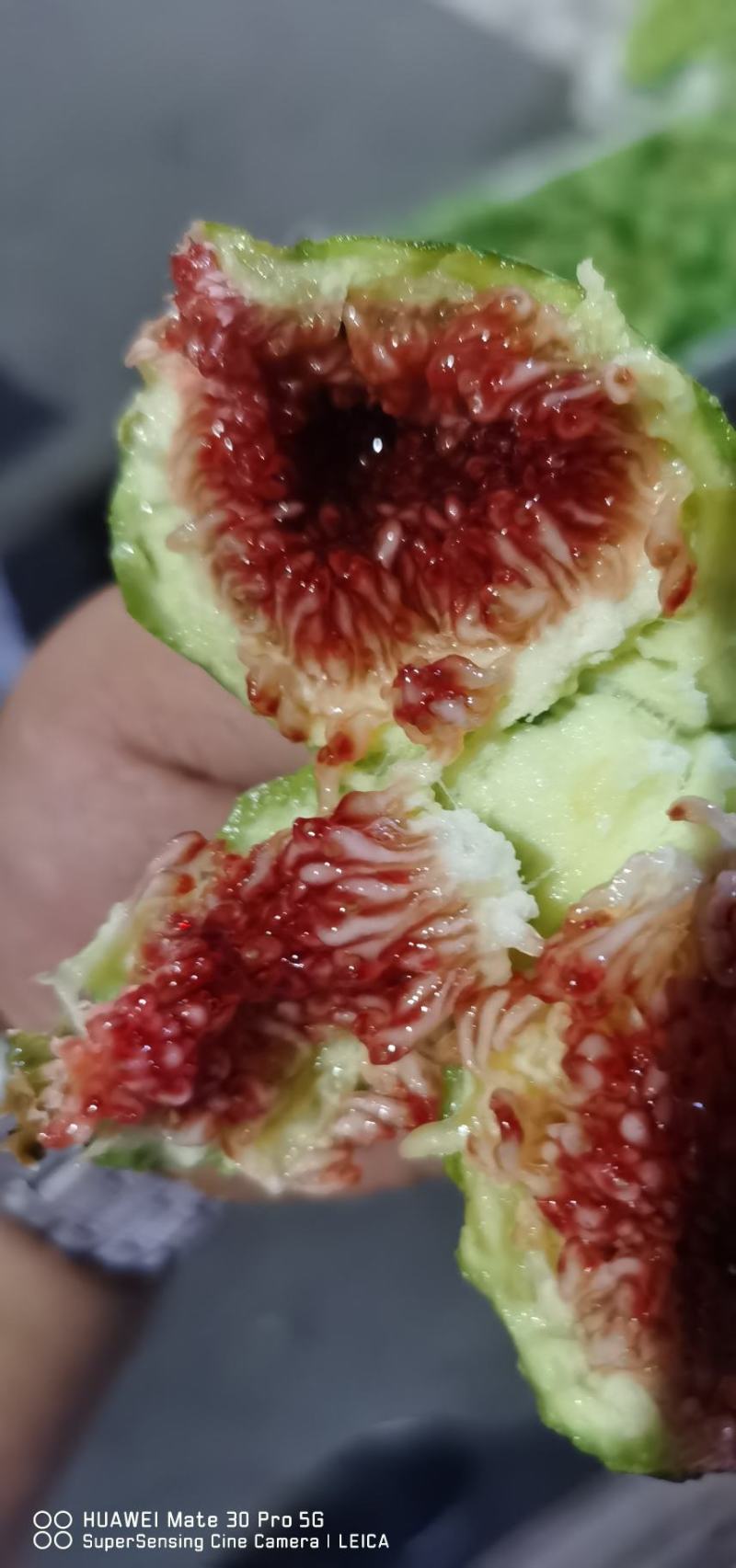 大量无花果每天一万斤左右