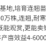 连翘苗连翘花苗药用连翘苗观赏连翘花苗