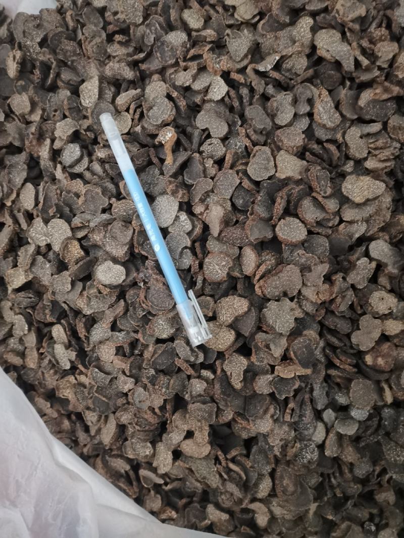 松露猪拱菌块菌干片老家货源直拱货源充足量大从优