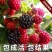 红宝石树莓树苗双季树莓苗产量高耐抗寒风味甜当年结果