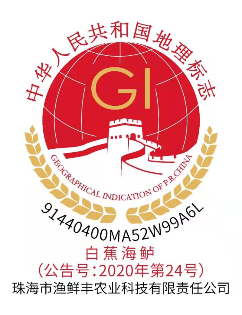 白蕉海鲈鱼三去开背型厂家直销规格齐全直供餐饮批发