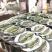 白蕉海鲈鱼三去开背型厂家直销规格齐全直供餐饮批发