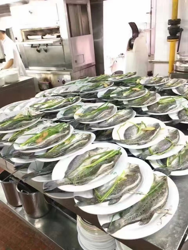 白蕉海鲈鱼三去开背型厂家直销规格齐全直供餐饮批发