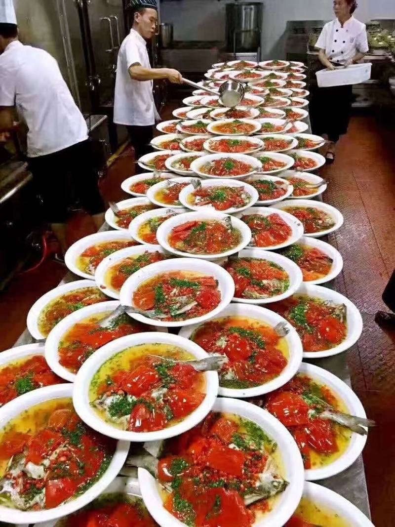 白蕉海鲈鱼三去开背型厂家直销规格齐全直供餐饮批发