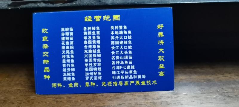 场地直销，工人养殖，黄鳝苗正大9号，良种优质，快大品种