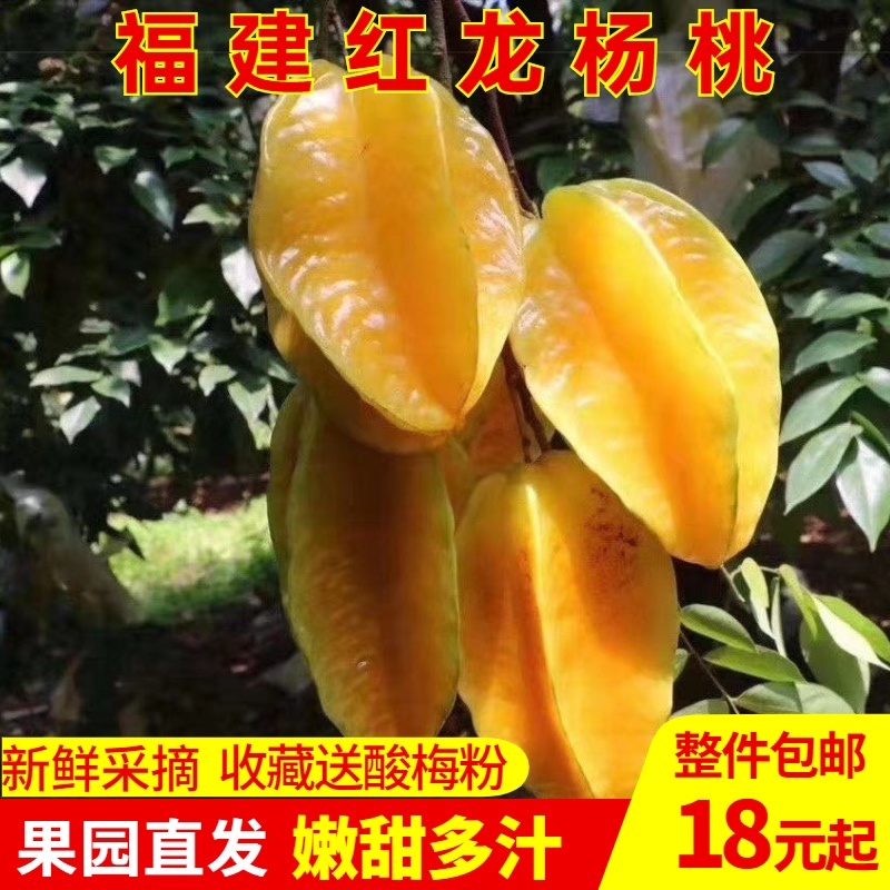 福建下河杨桃当季水果水分足送酸梅粉产地直发按需发货