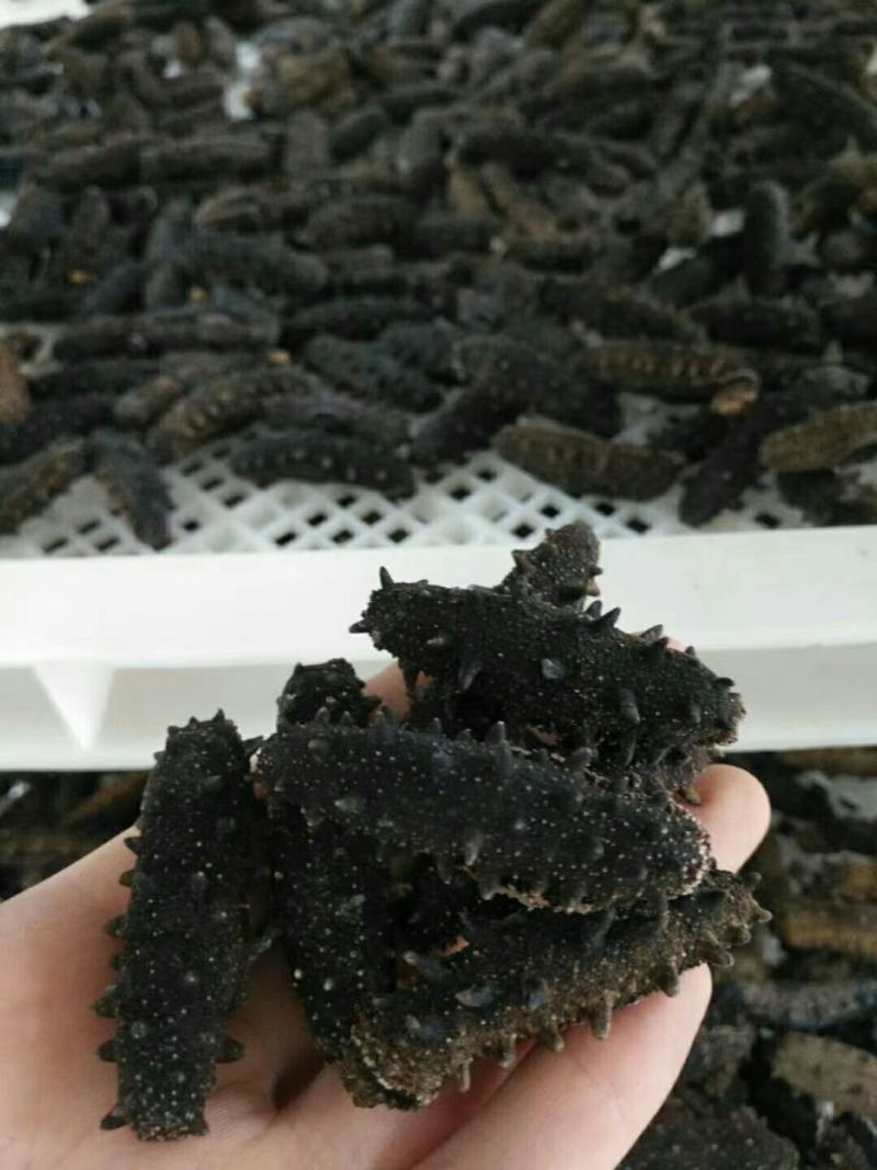 大连纯淡干海参，无添加，有质检报告，放心食品