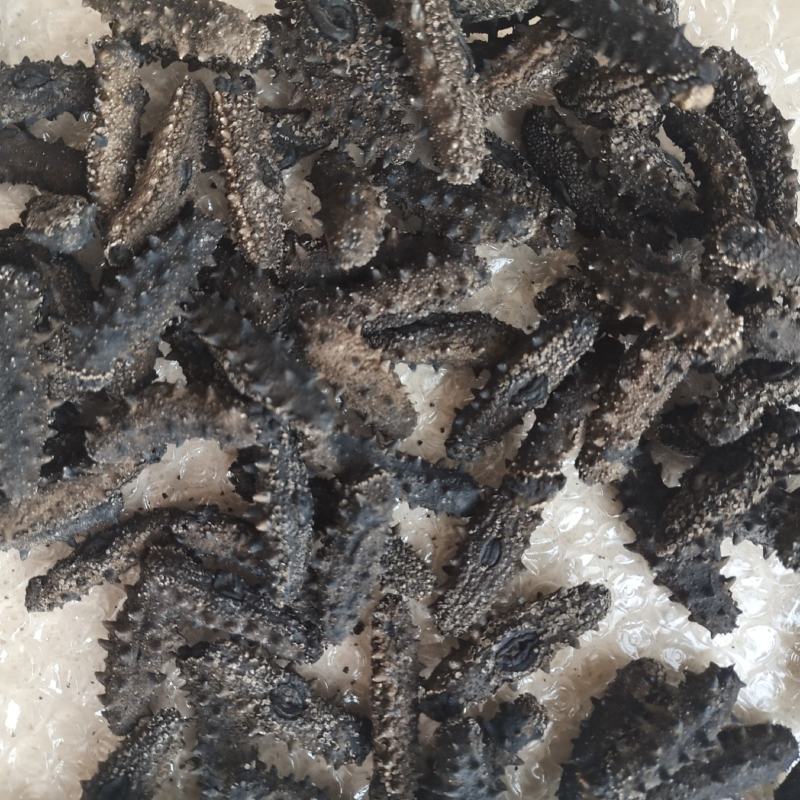大连纯淡干海参，无添加，有质检报告，放心食品