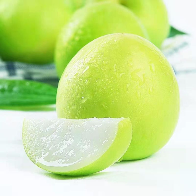 【精品】台湾牛奶大青枣新鲜水果当季甜脆枣子蜜枣牛奶枣大枣