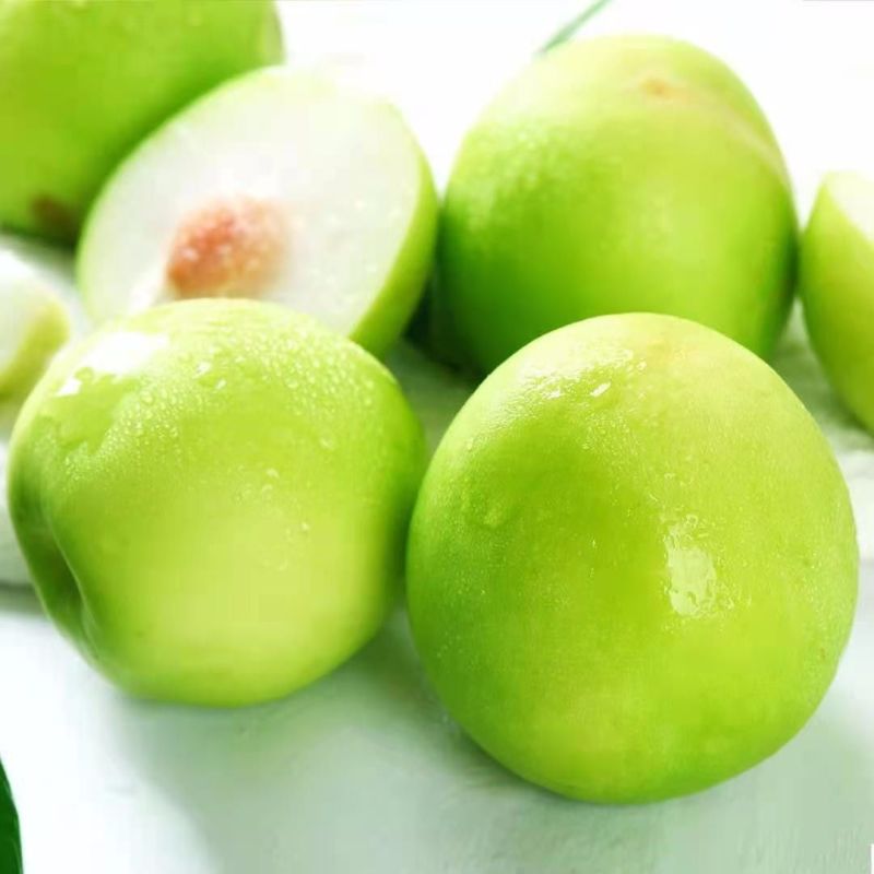 【精品】台湾牛奶大青枣新鲜水果当季甜脆枣子蜜枣牛奶枣大枣