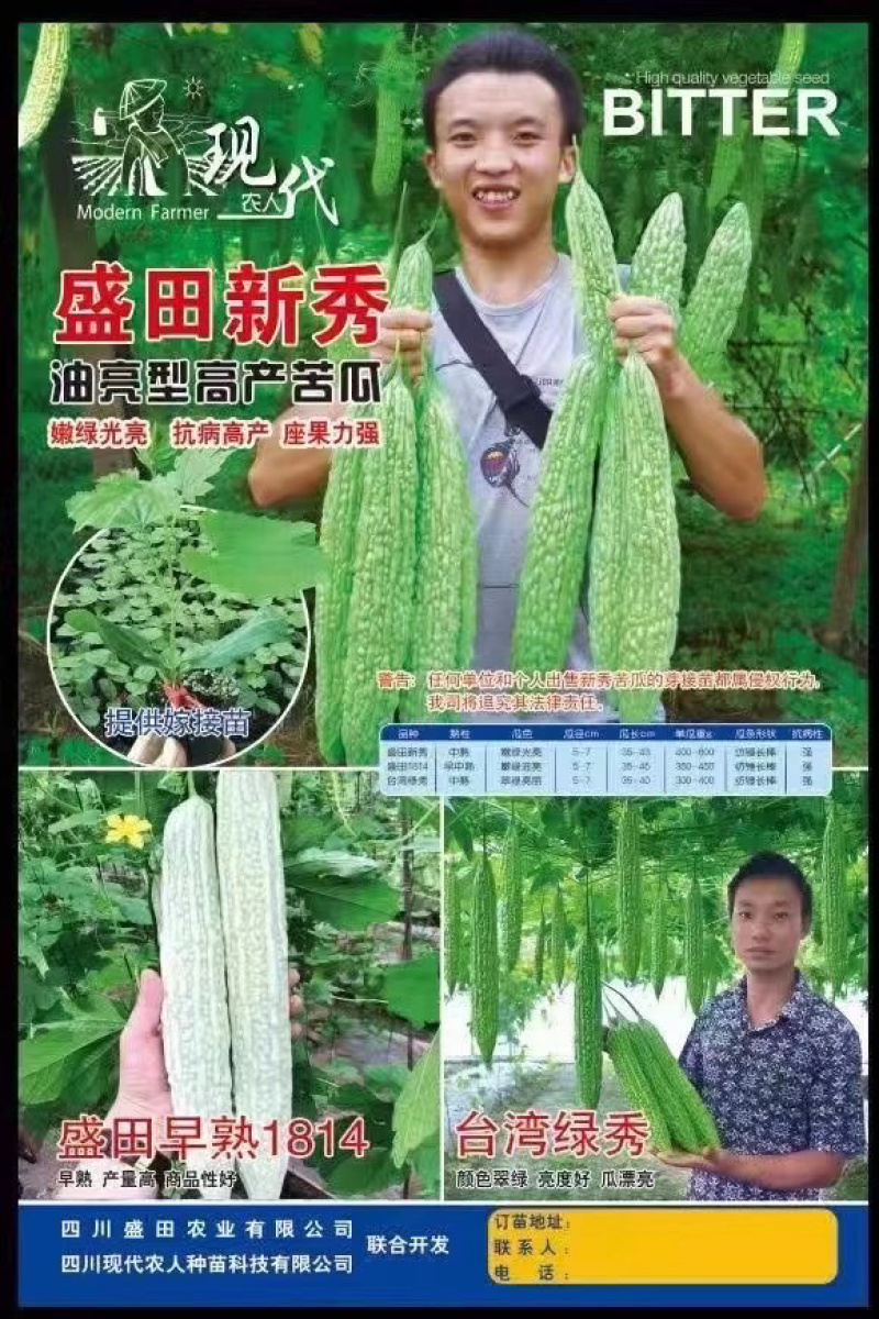 四川苦瓜嫁接苗，抢先预订有优惠，请不要担心栽不活，包运费，