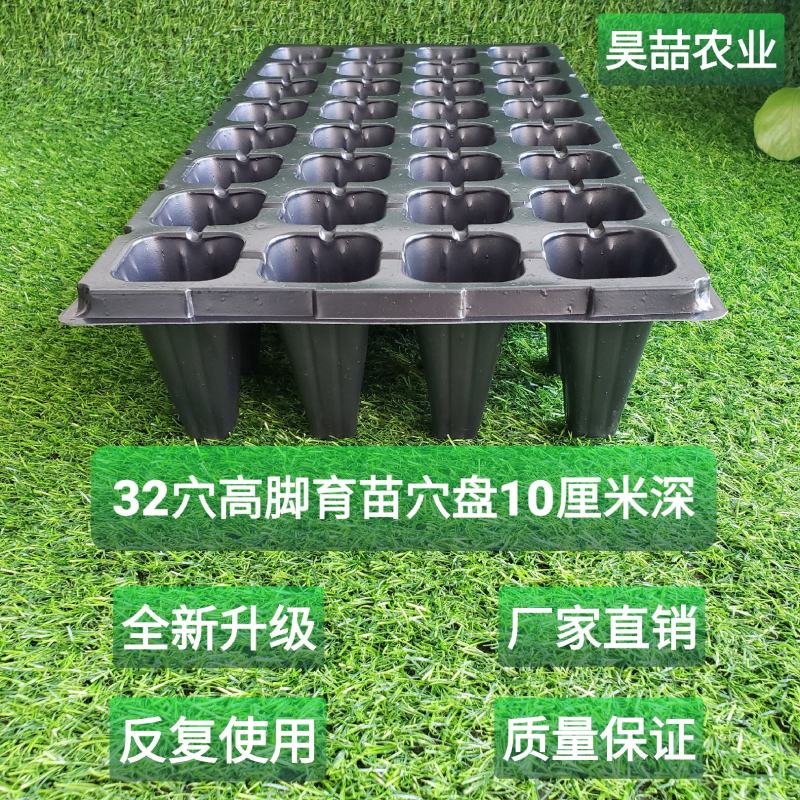 育苗盘高脚32苗盘草莓林木专用育苗穴盘加深加厚全国包邮