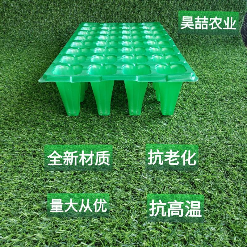 育苗盘高脚32苗盘草莓林木专用育苗穴盘加深加厚全国包邮