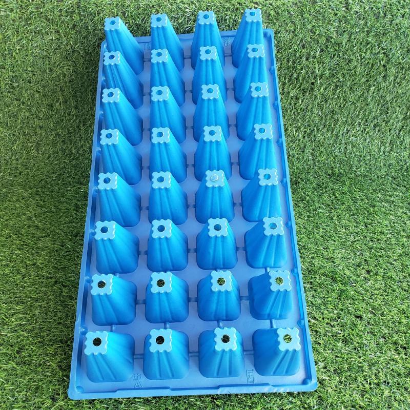 育苗盘高脚32苗盘草莓林木专用育苗穴盘加深加厚全国包邮