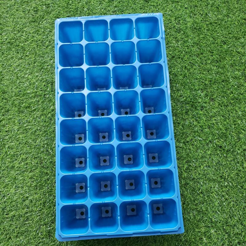 育苗盘高脚32苗盘草莓林木专用育苗穴盘加深加厚全国包邮