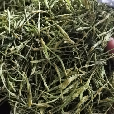 金银花茶产地直供（蒸汽杀青茶花）