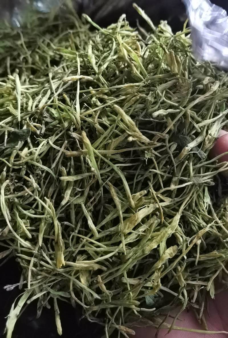 金银花茶产地直供（蒸汽杀青茶花）