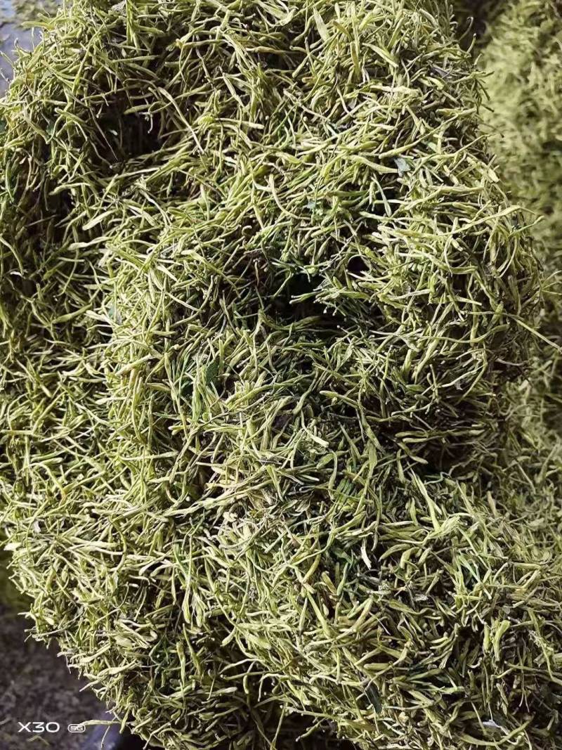 金银花茶产地直供（蒸汽杀青茶花）