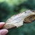 美味牛肝菌口感好卖相漂亮