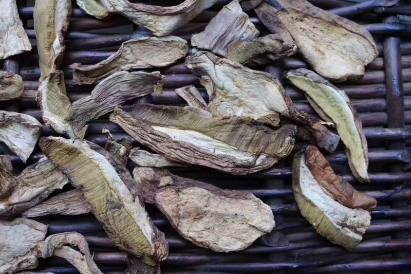 美味牛肝菌口感好卖相漂亮